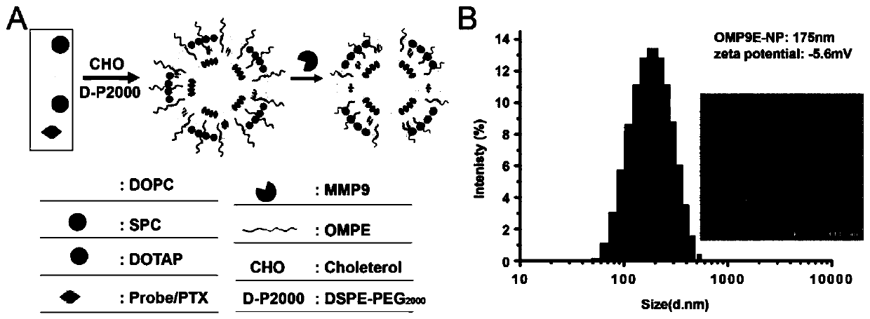 Tumor microenvironment responsive surface charge reversible nano-drug delivery carrier