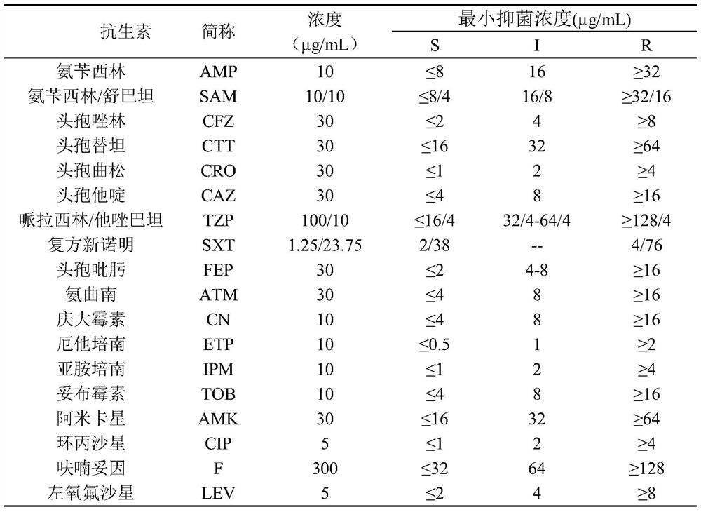 Application of Pulsatilla saponin a3 in inhibiting the growth of multidrug-resistant Providencia rettgeri