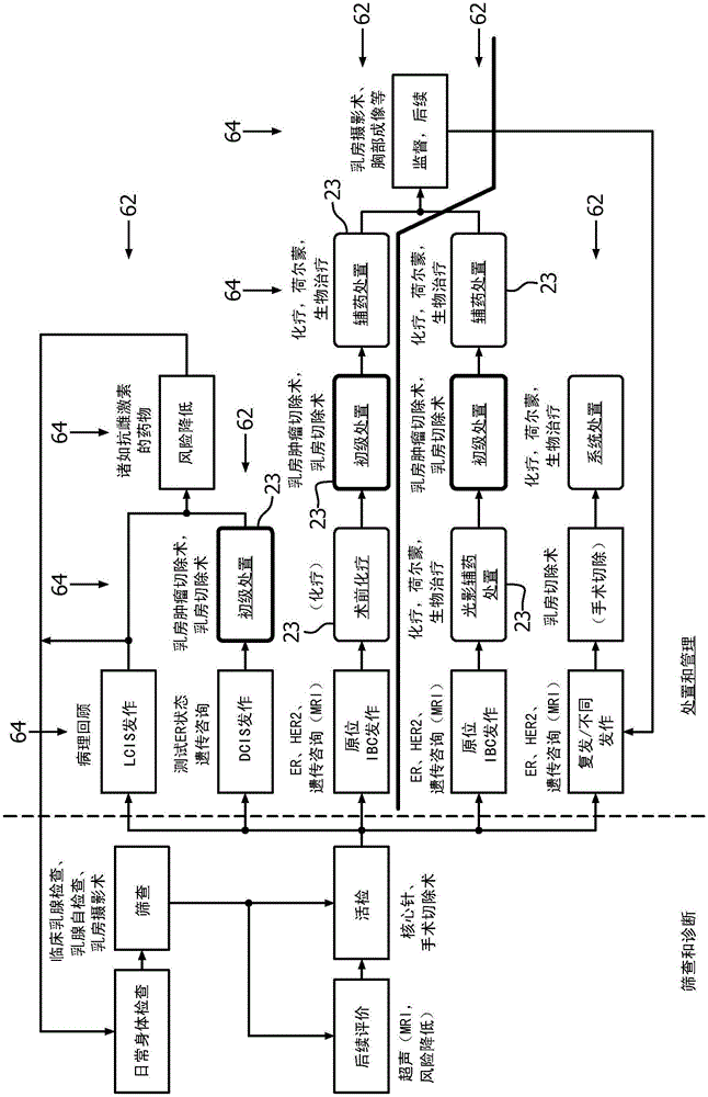System and method to assist patients and clinicians in using a shared and patient-centric decision support tool