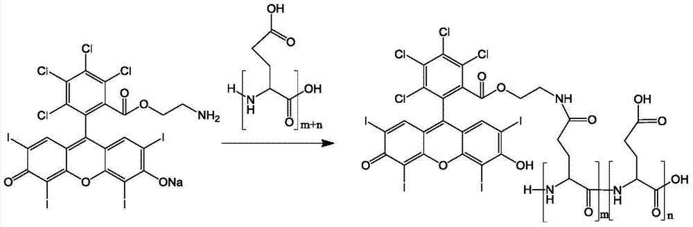 Antitumor drug based on PGA-RB (Polyglutamic Acid-Rose Bengal) bound compound and preparation method and application of antitumor drug