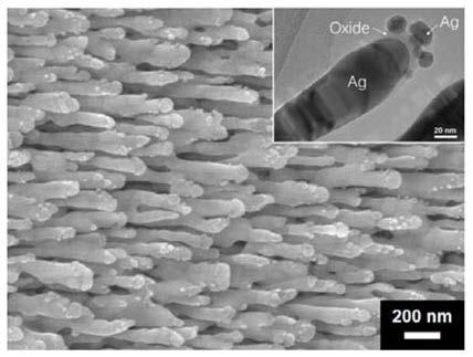 A surface-enhanced Raman substrate and its preparation method