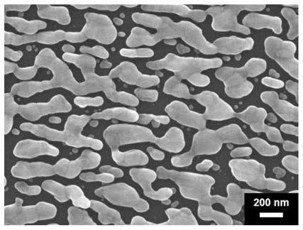 A surface-enhanced Raman substrate and its preparation method