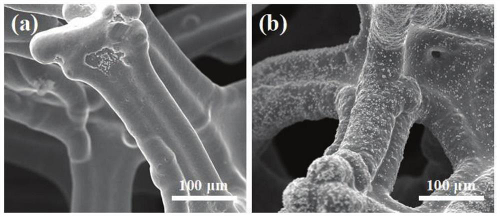 A 3d Lithophilic Porous Metal Current Collector, Negative Electrode and Its Preparation and Application