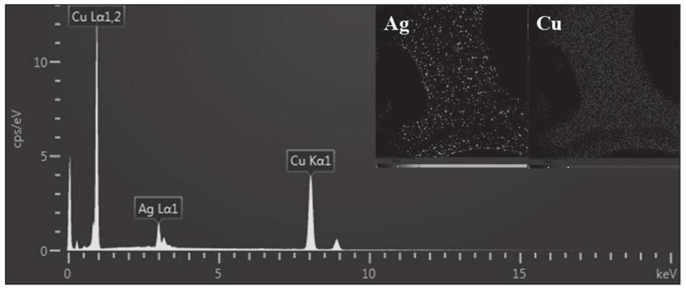 A 3d Lithophilic Porous Metal Current Collector, Negative Electrode and Its Preparation and Application