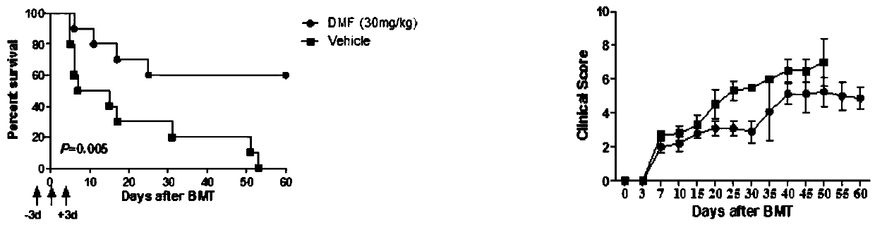 Application of dimethyl fumarate in preparation of drugs for preventing and treating graft-versus-host disease and graft-versus-leukemia