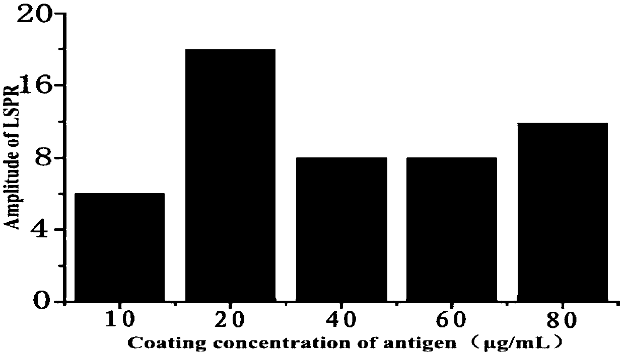 Schistosome antigen marking gold nanorods and preparation method thereof