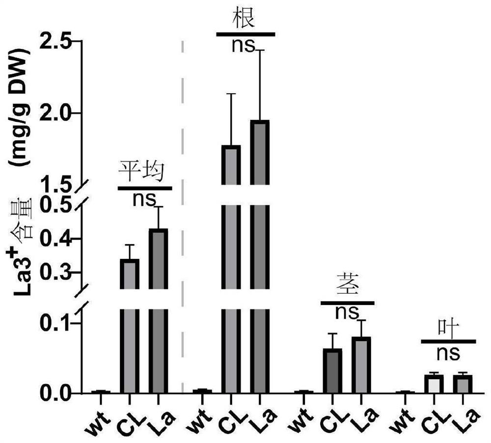 Method for relieving plant growth resistance under stress of high-concentration rare earth elements and application