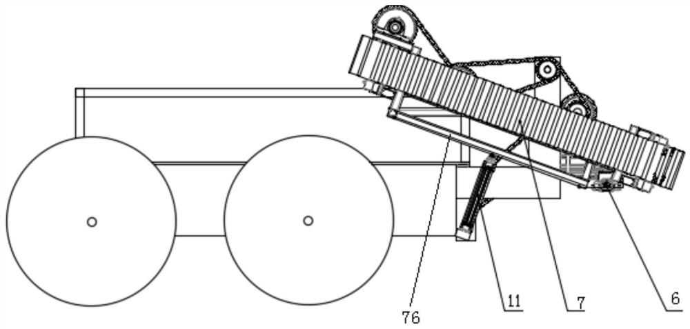 Vertical flexible clamping and conveying device for brassica campestris and harvesting machine