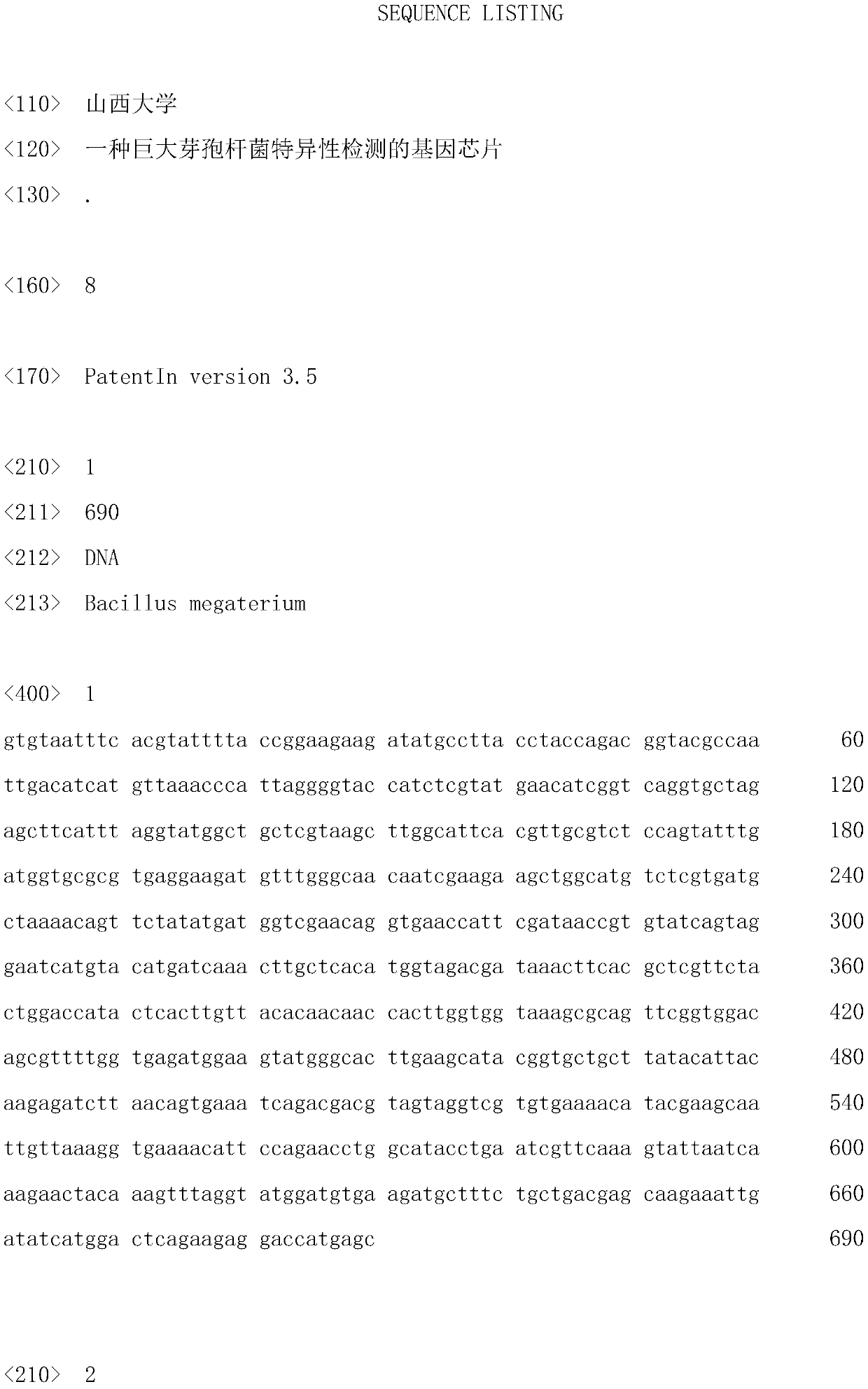 A gene chip for specific detection of Bacillus megaterium