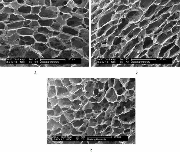 Method for preparing cross-linked collagen/chitosan tissue engineering porous support in one-step freeze-drying mode