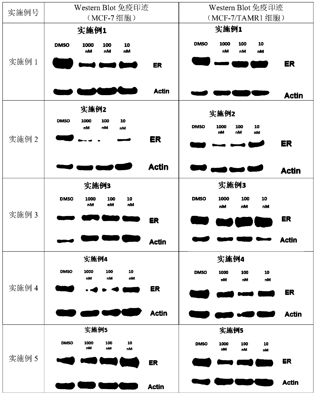 Heterocyclic compounds and application thereof in medicine