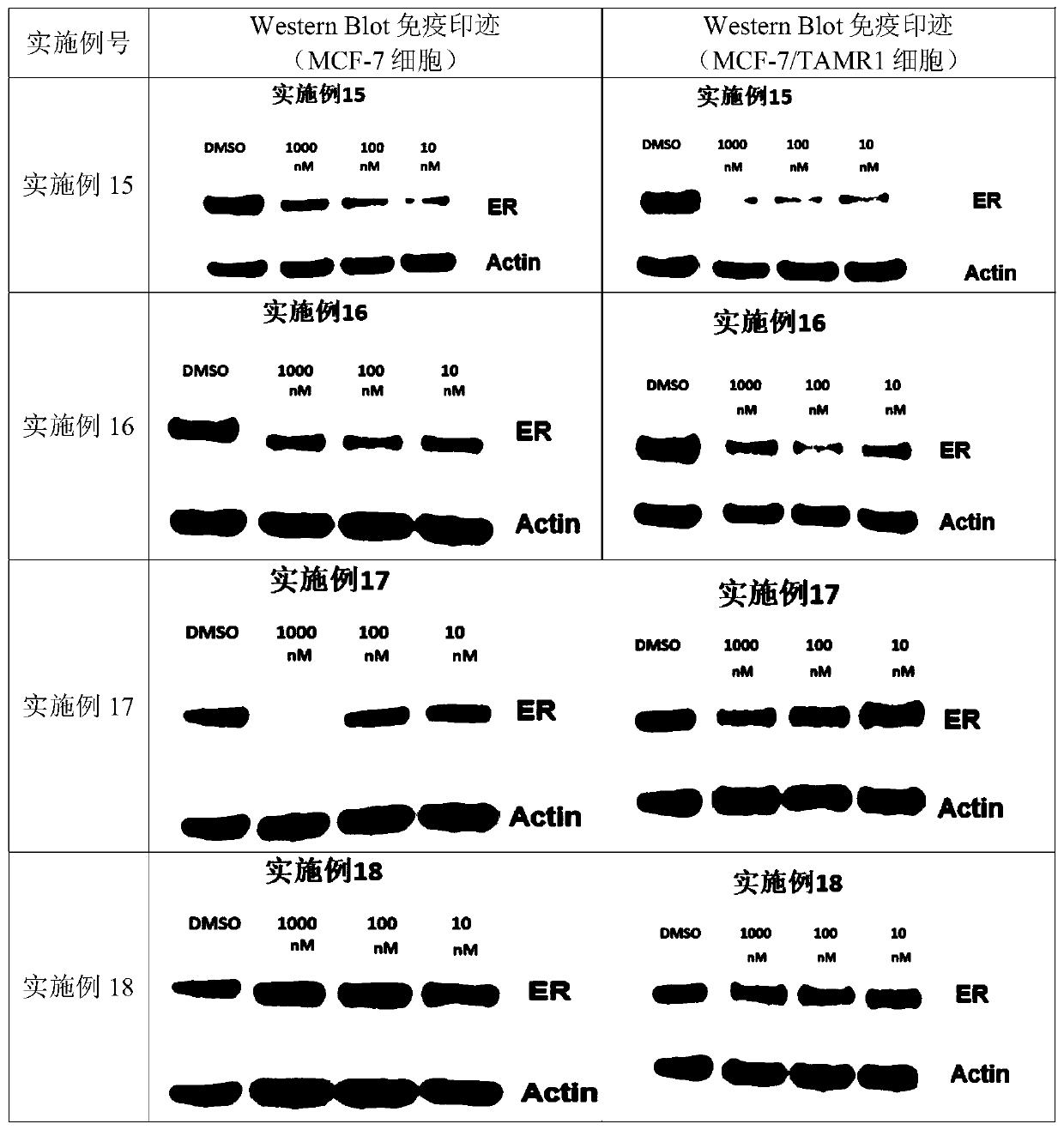 Heterocyclic compounds and application thereof in medicine