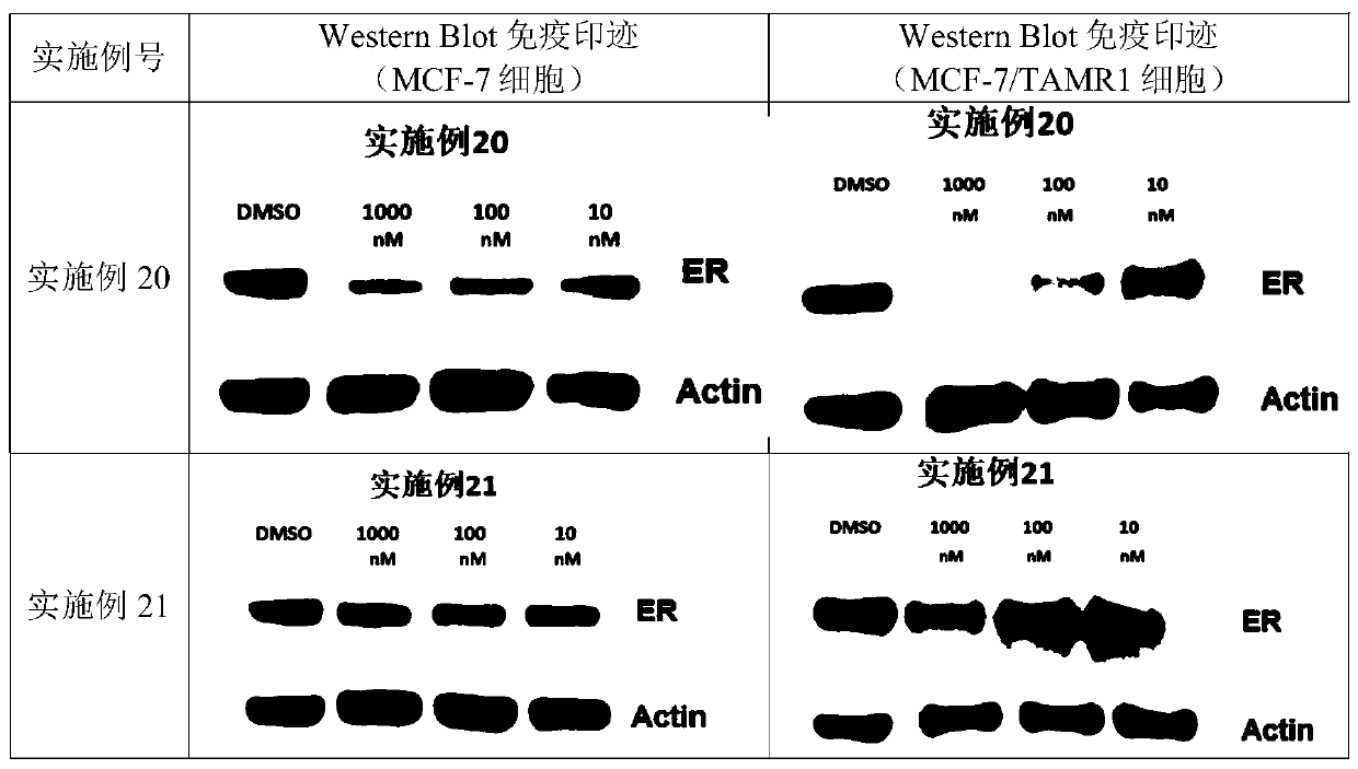 Heterocyclic compounds and application thereof in medicine