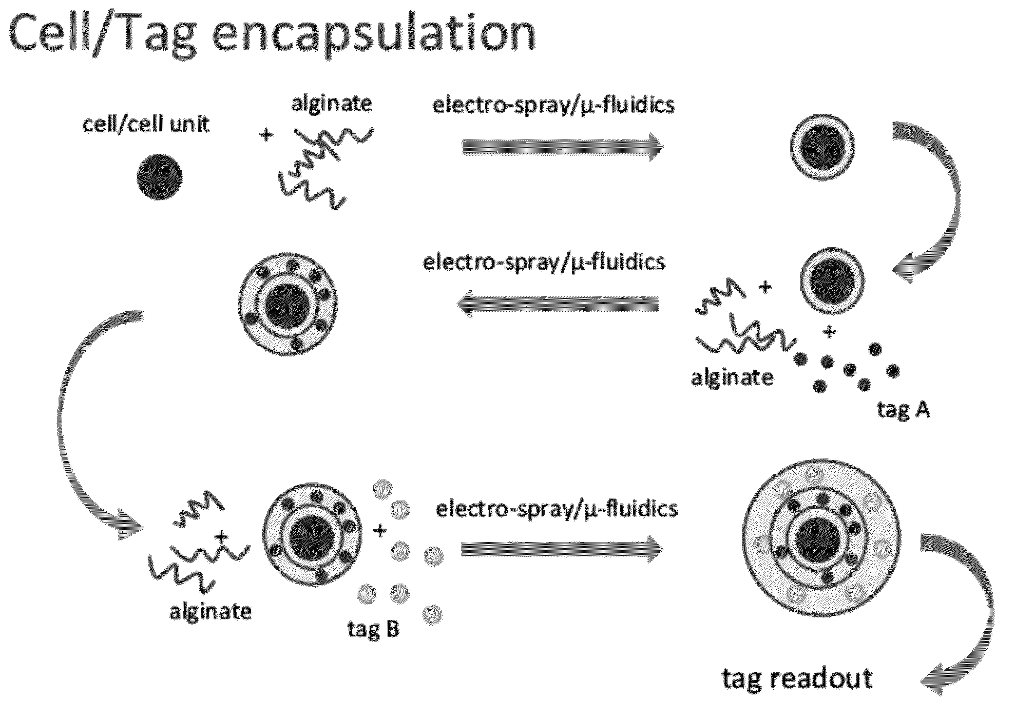 Nested cell encapsulation