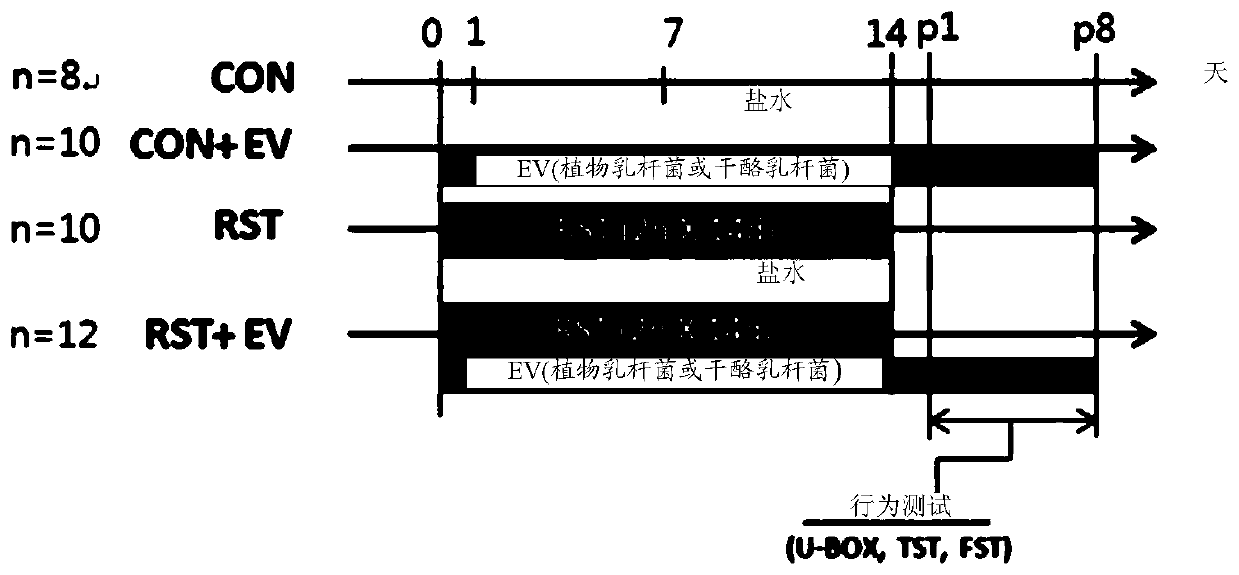 Composition for preventing or treating mental disorder, containing lactobacillus sp. bacteria-derived vesicle