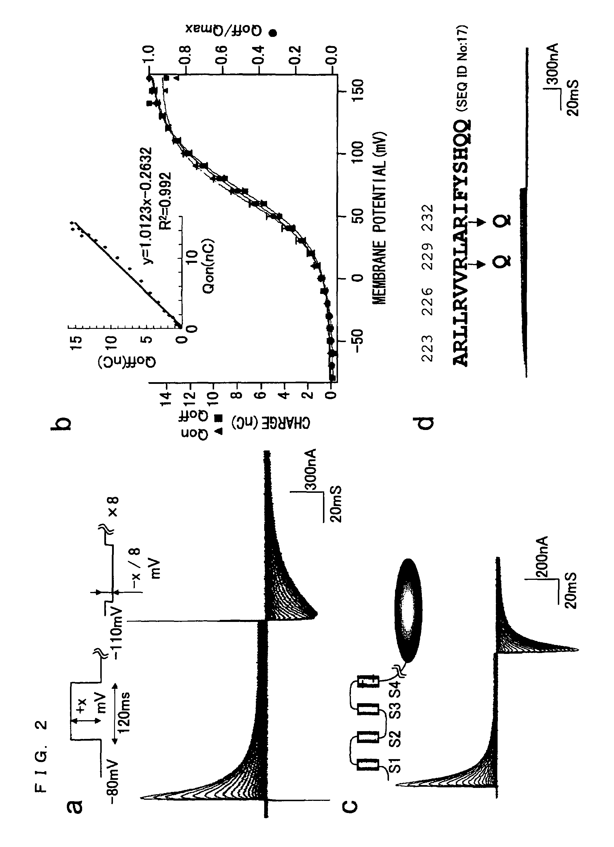 Ion channel-like polypeptide and use thereof