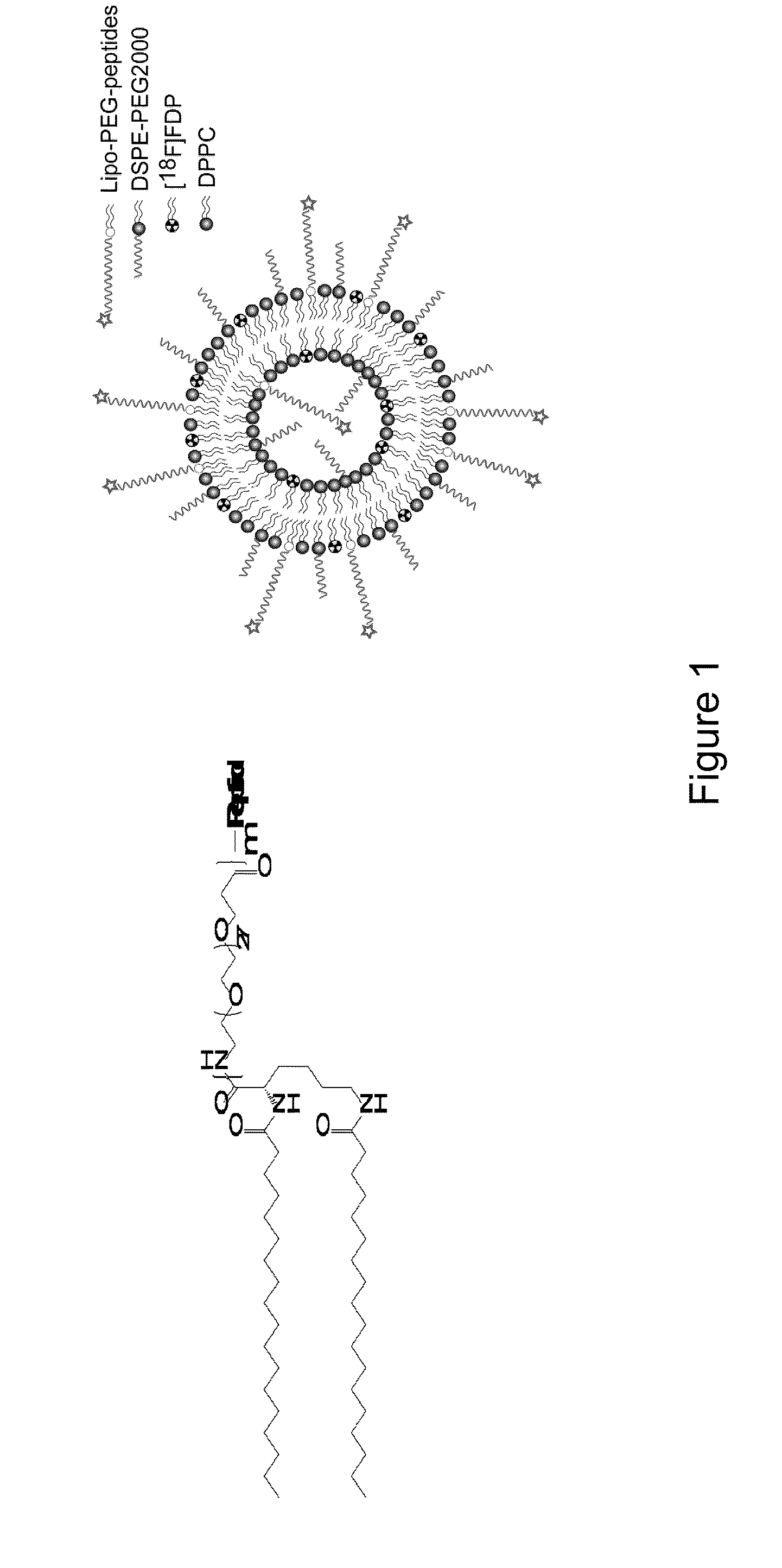 Methods and compounds for targeting tissues