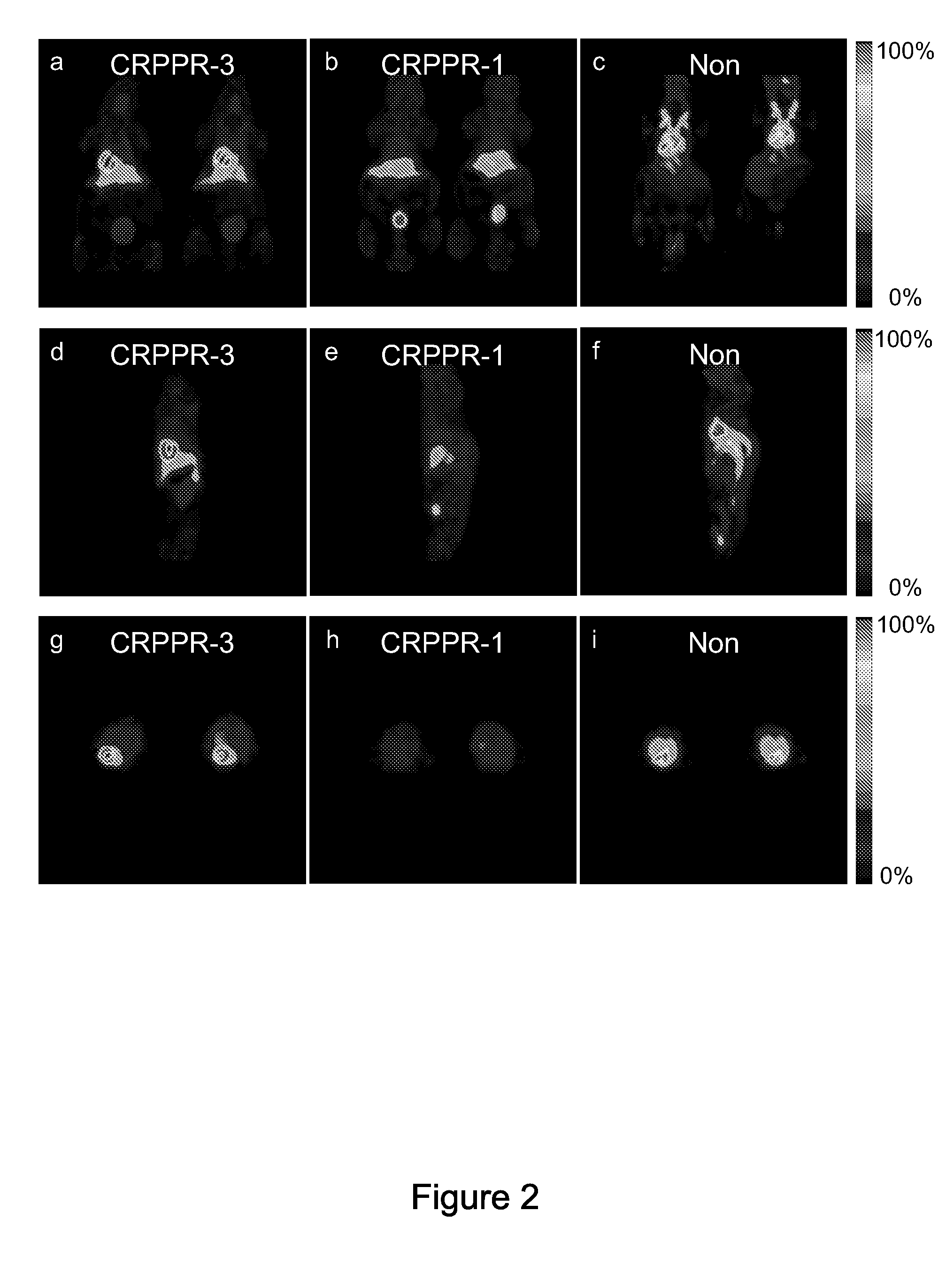 Methods and compounds for targeting tissues