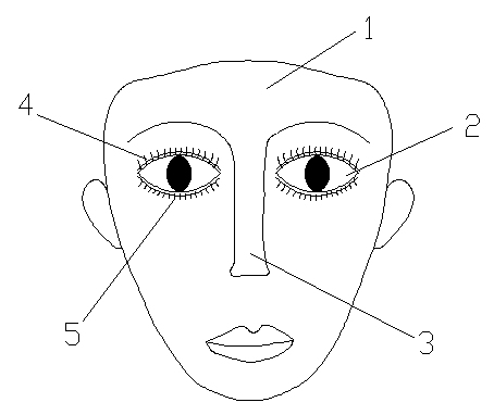 Eyelash cutting and lacrimal passage irrigation technique nursing teaching model in ophthalmology
