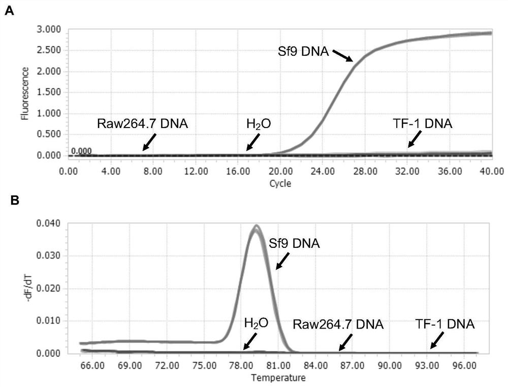 Method for detecting Sf9 cell DNA content