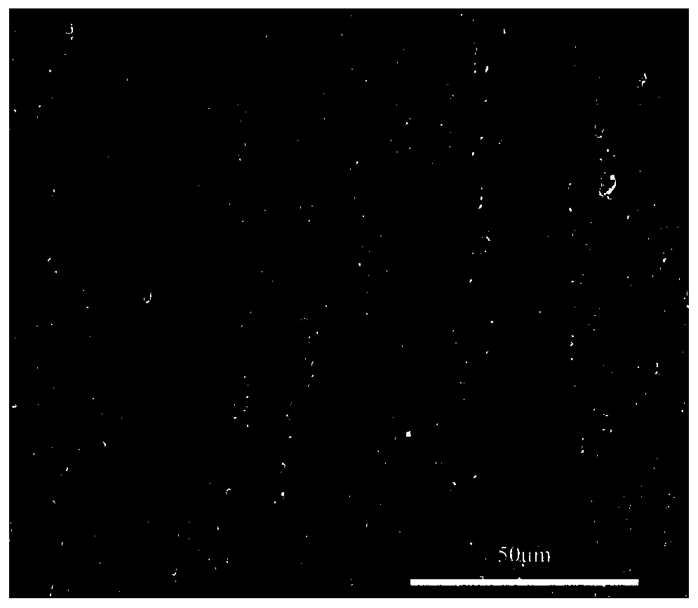 A multi-scale and multi-phase dispersion-strengthened iron-based alloy and its preparation and characterization method