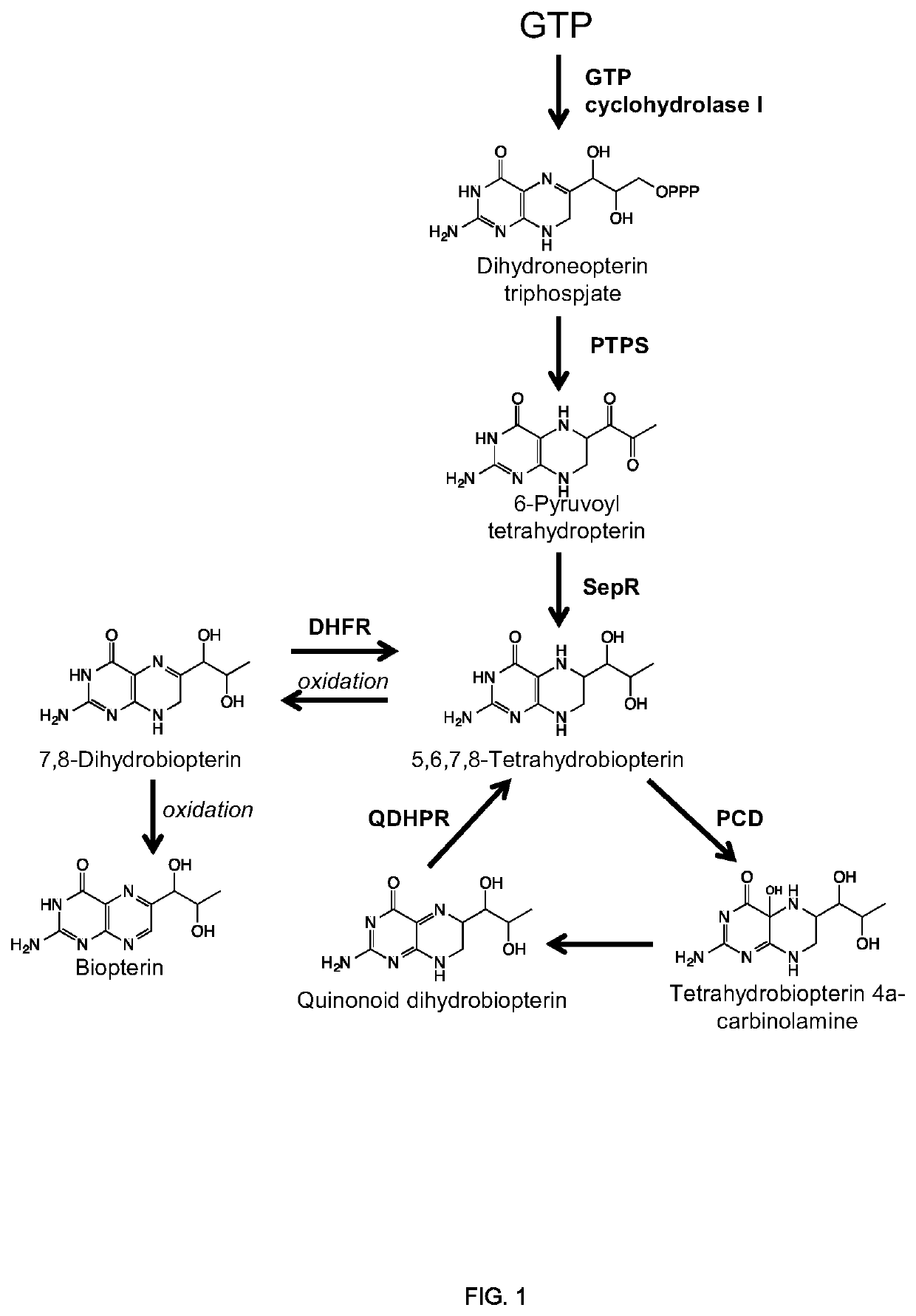 Methods of producing nor-opioid and nal-opioid benzylisoquinoline alkaloids