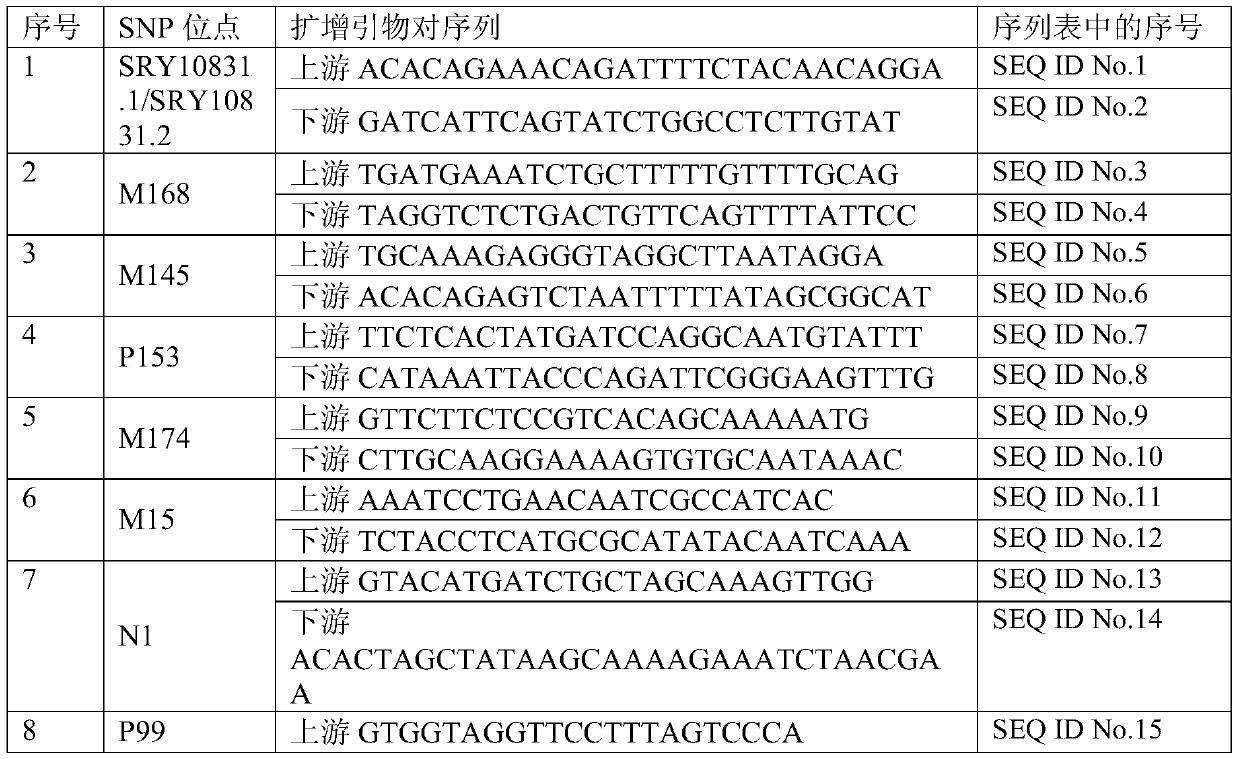 Forensic next-generation sequencing kit based on 74 Y chromosome SNP genetic markers