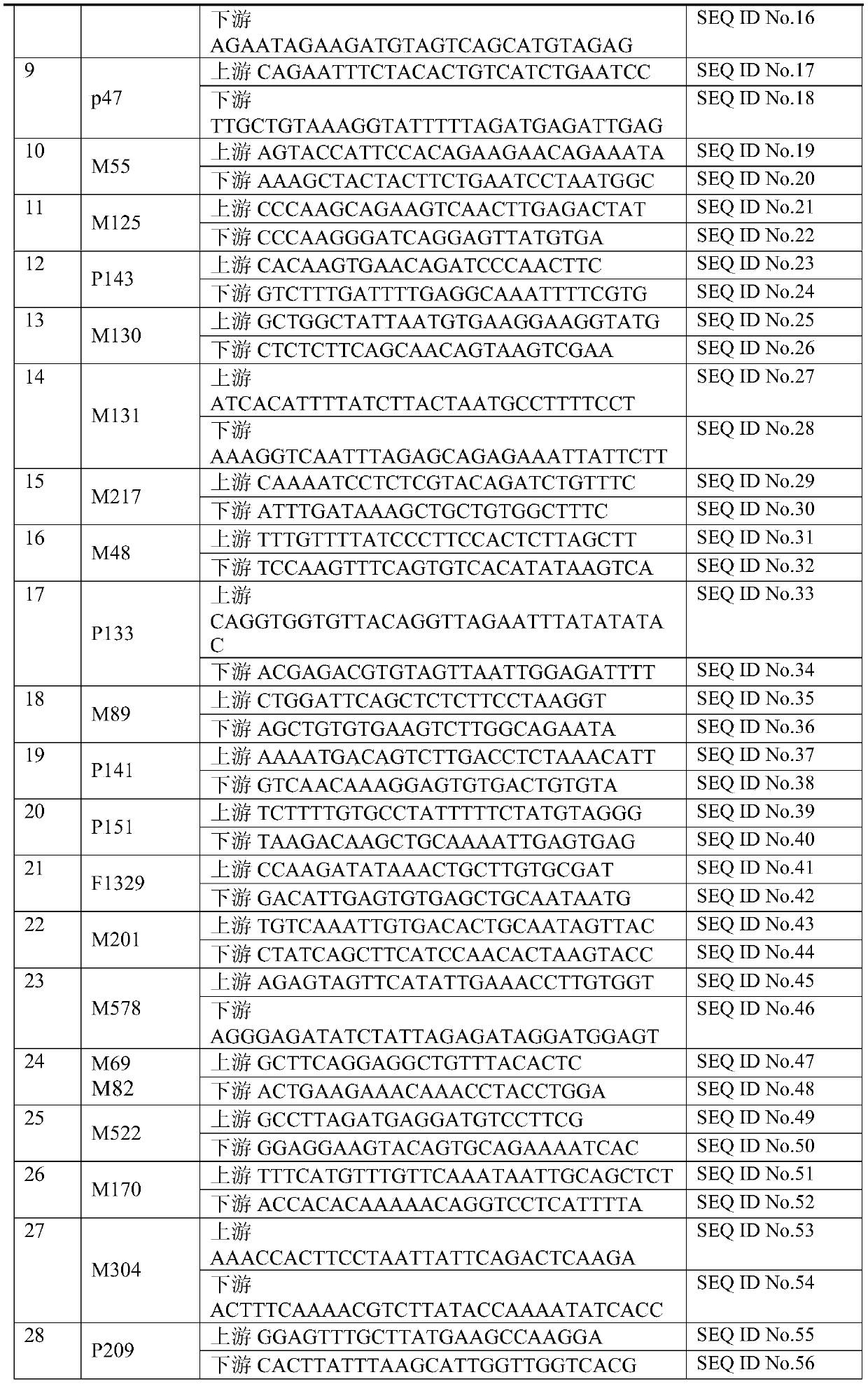 Forensic next-generation sequencing kit based on 74 Y chromosome SNP genetic markers