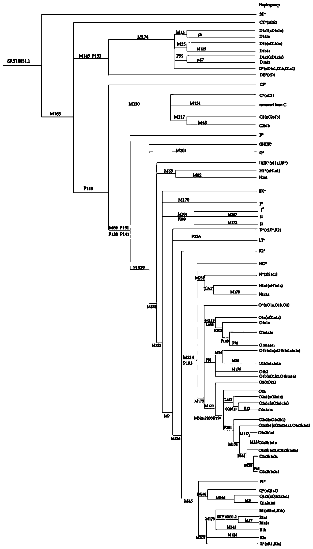 Forensic next-generation sequencing kit based on 74 Y chromosome SNP genetic markers