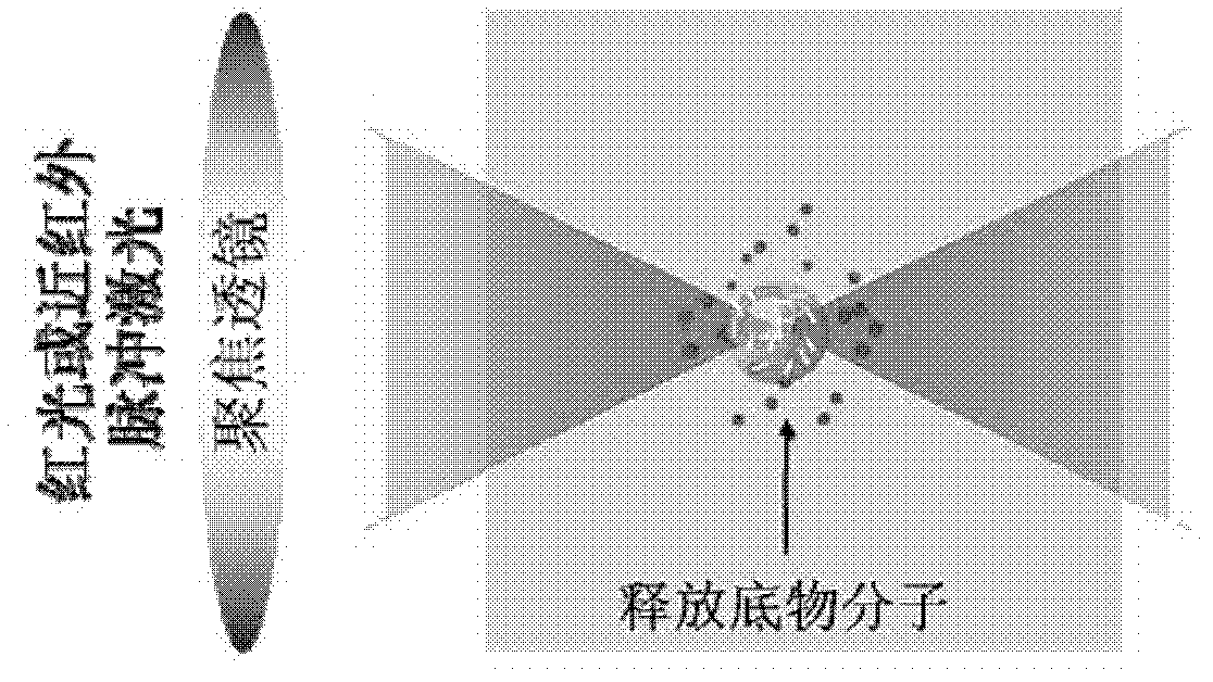 Vesicle with two-photon excitation controlled-release function, and preparation method and application thereof