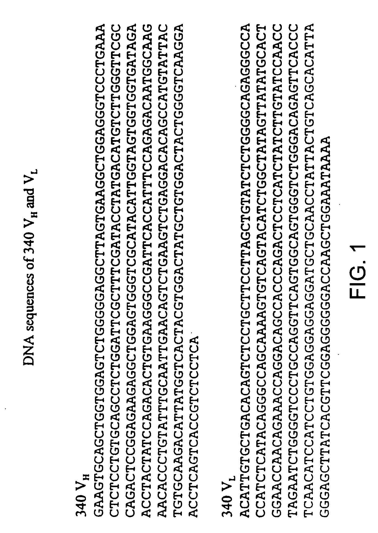 Method for the production of non-immunogenic proteins