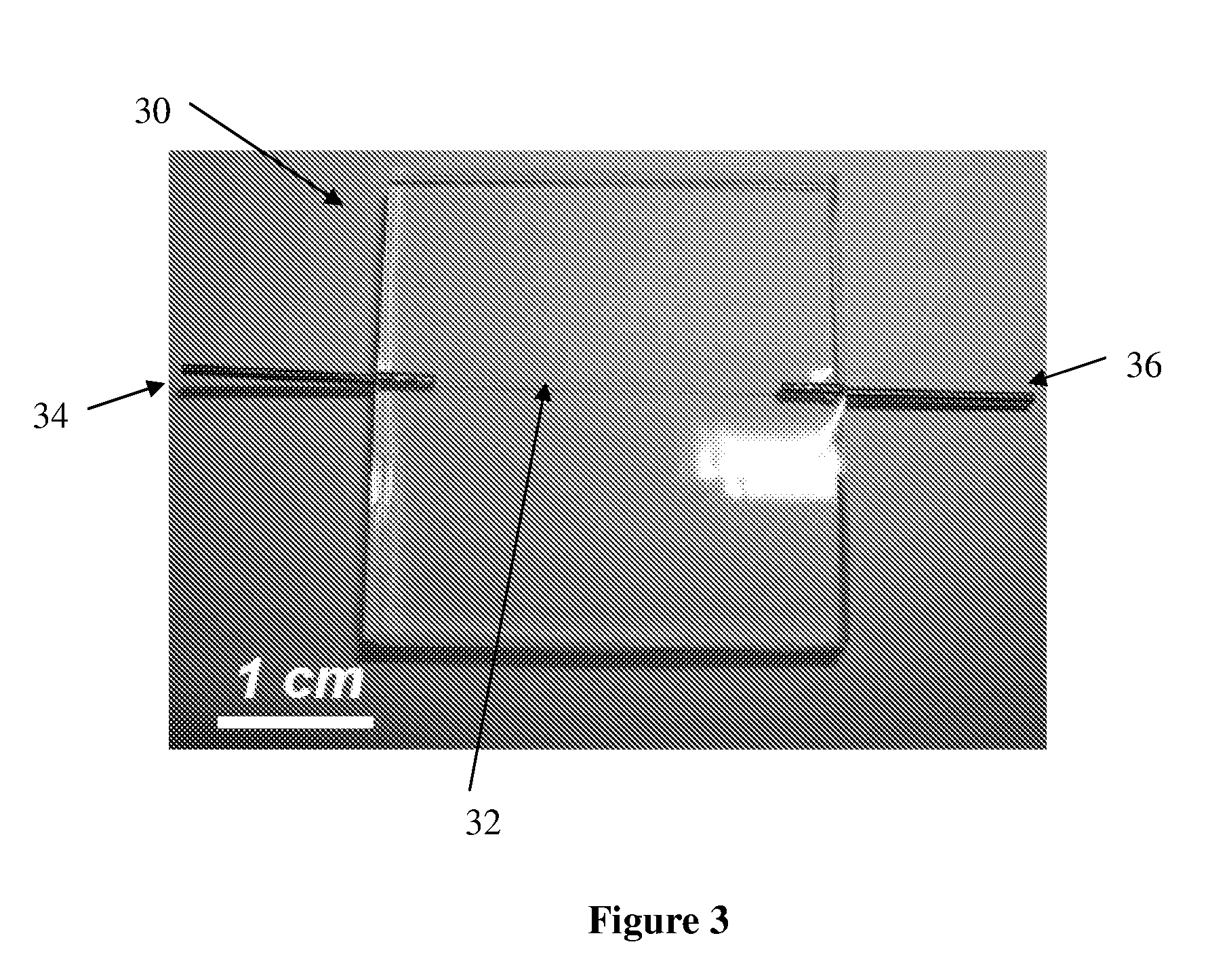Microfluidic device with a cylindrical microchannel and a method for fabricating same