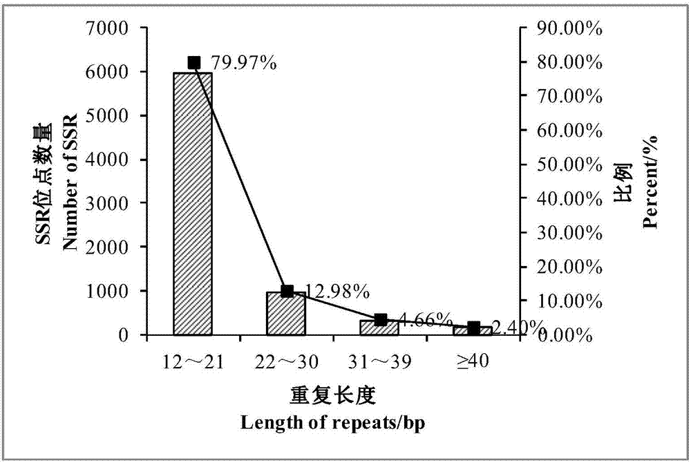 Rowan tree est-ssr marker, its primer pair and application