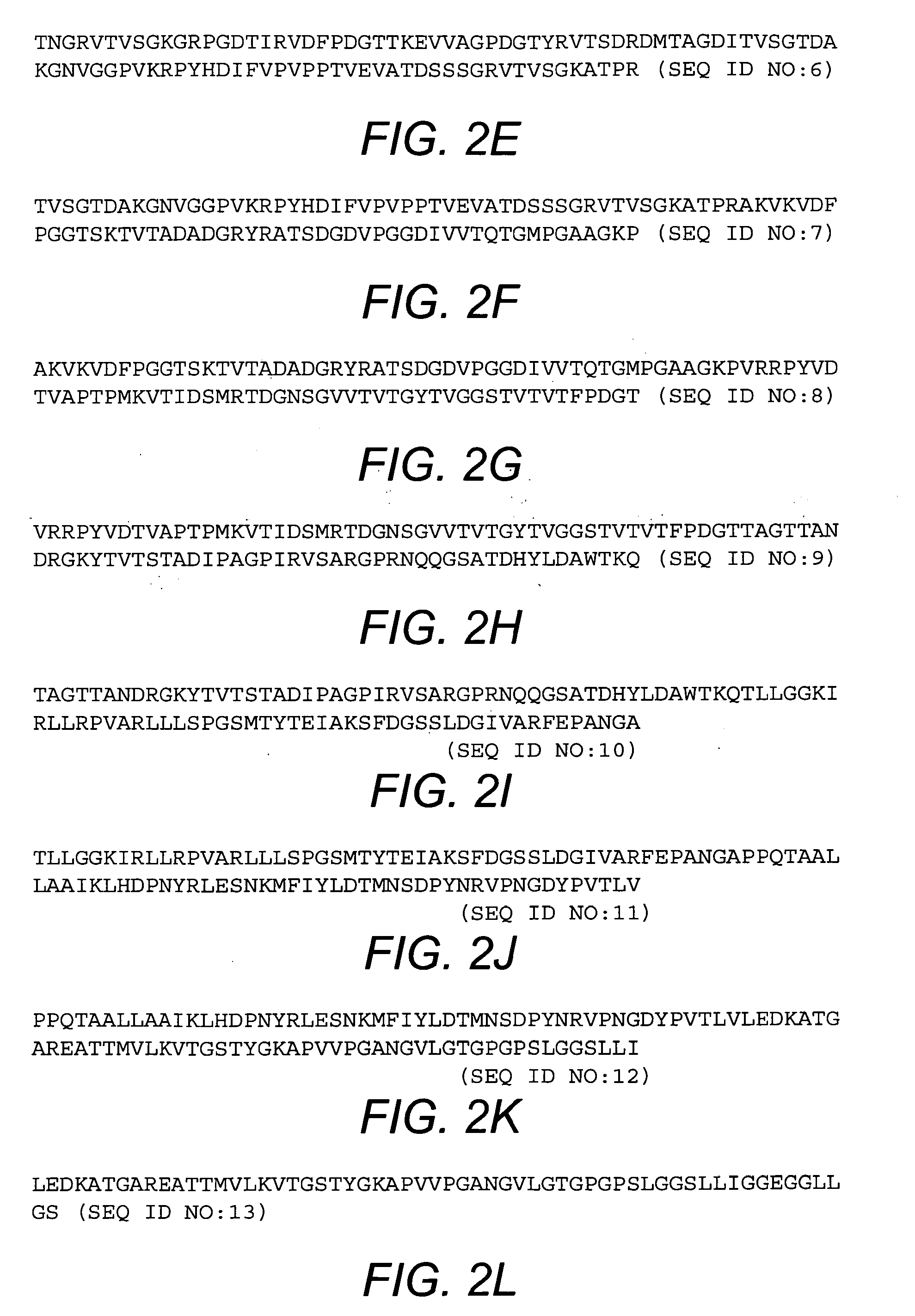 Bordetella outer-membrane protein antigens and methods of making and using the same