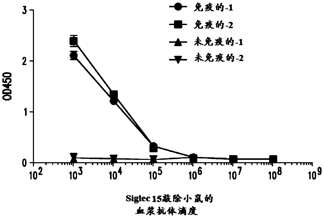 Antibodies for siglec-15 and methods of use thereof
