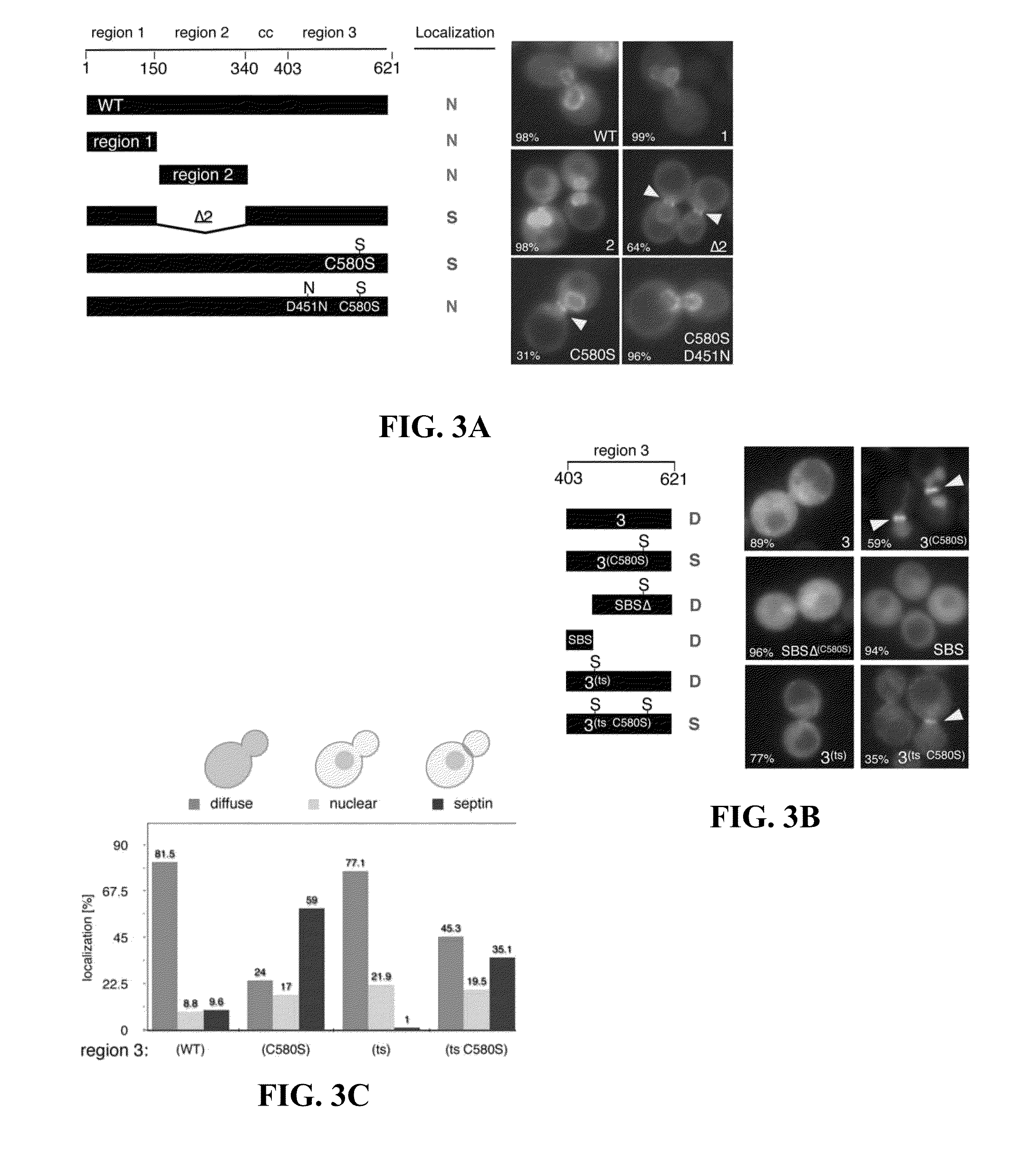 Sumo-specific affinity tag