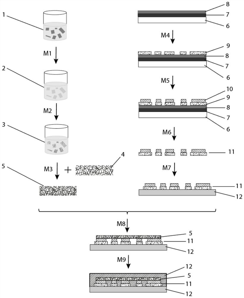 Elastic strain sensor and preparation method thereof