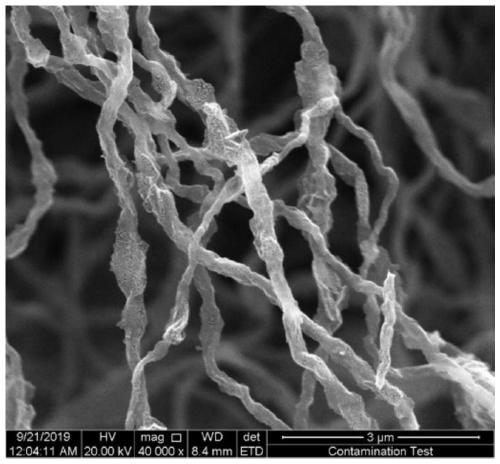 Flexible sulfur-nitrogen co-doped porous carbon fiber composite electrode material, preparation method and application thereof
