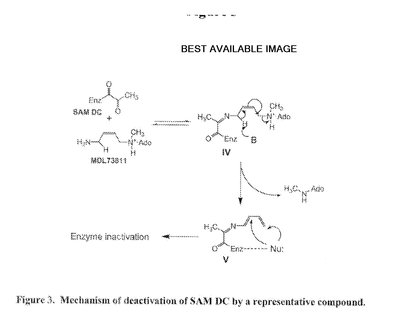 Inhibitors of s-adenosyl-l-methionine decarboxylase