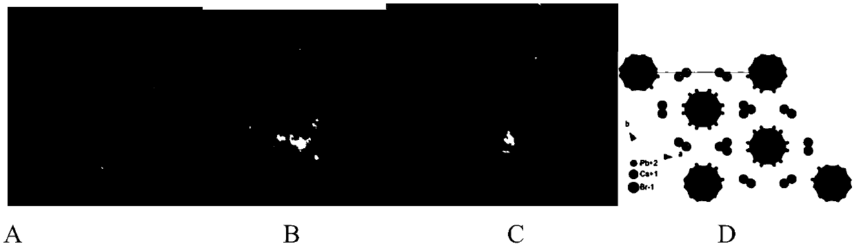 Method for growing large-size zero-dimensional perovskite light-emitting single crystal