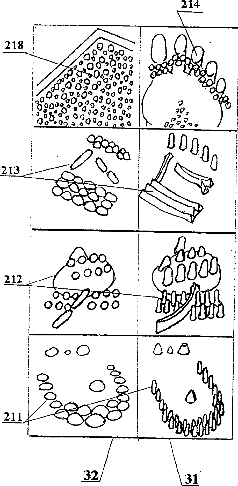 Main and collateral channel holographic physical health care foot massage system