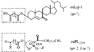 Chemical synthetic method of low affinity ligand of oxidized low density lipoprotein receptor CD36