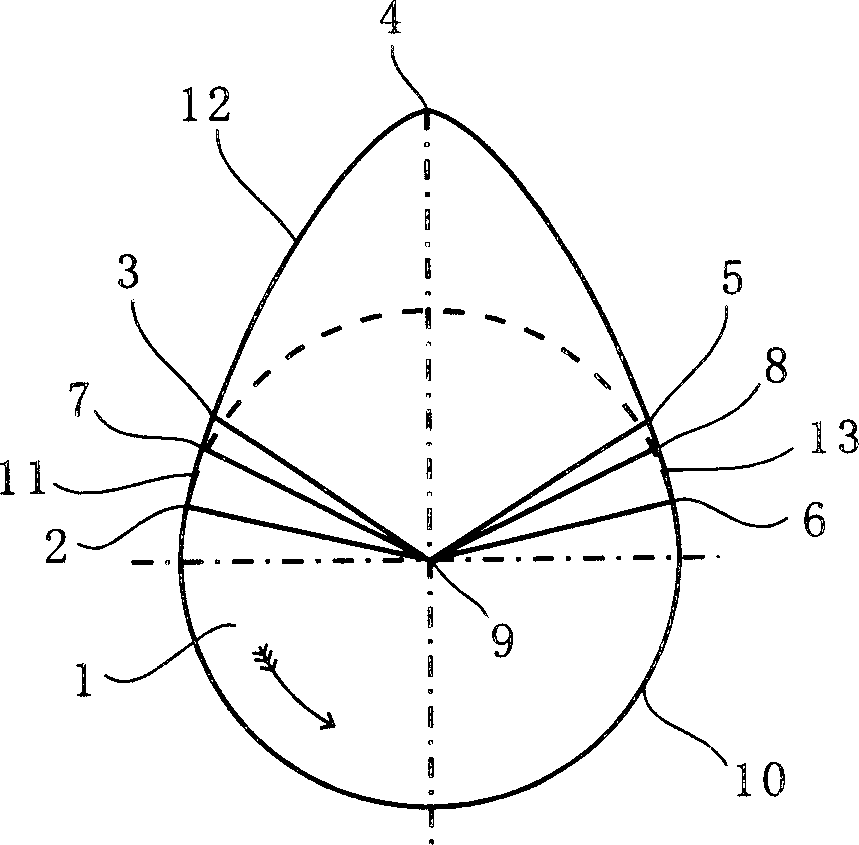 Air inlet and outlet cam on canshaft of internal combustion engine