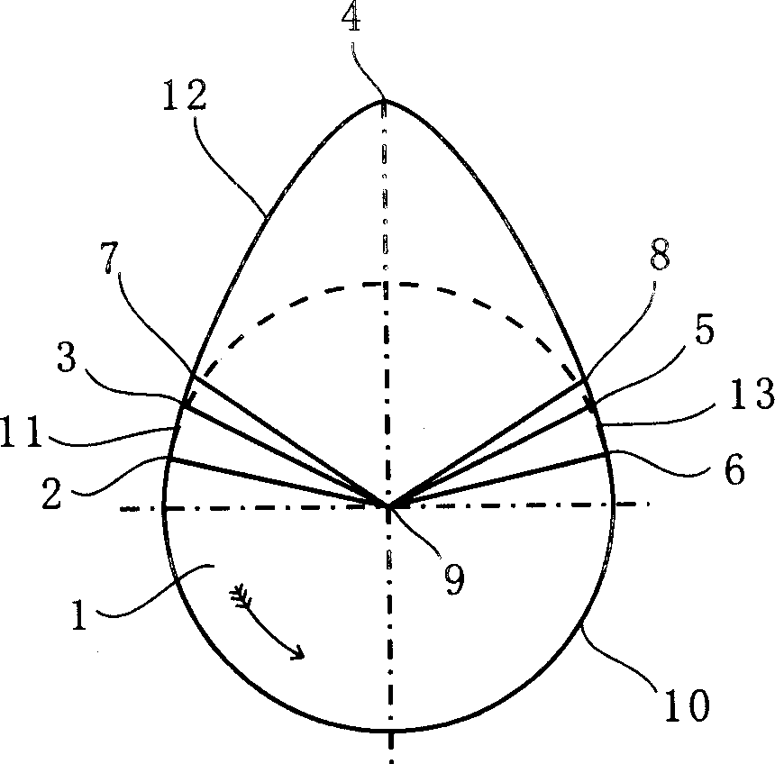 Air inlet and outlet cam on canshaft of internal combustion engine