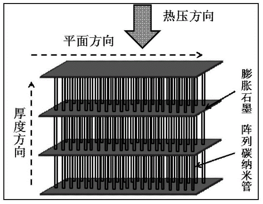 Carbon-based composite with high rebound resilience and high heat conductivity coefficient along thickness direction and preparation method of carbon-based composite