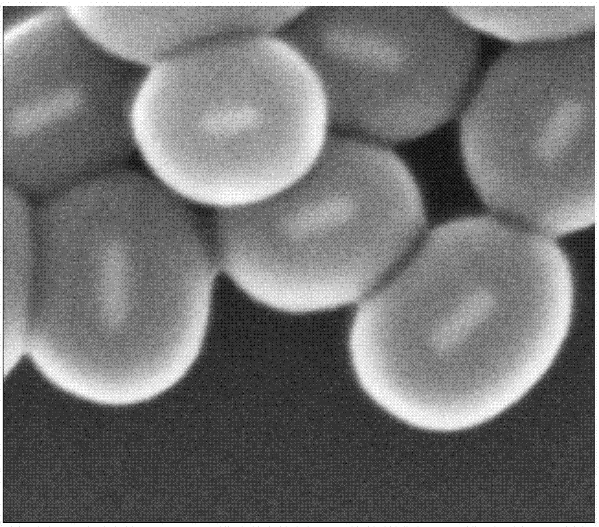 Method for preparing silicon dioxide coated noble metal nanocrystalline