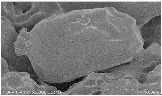 Preparation method for bright mung bean superoxide dismutase liposome