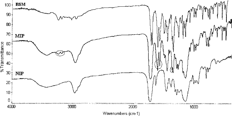 Preparation method of bensulfuron methyl molecularly imprinted polymer and application thereof