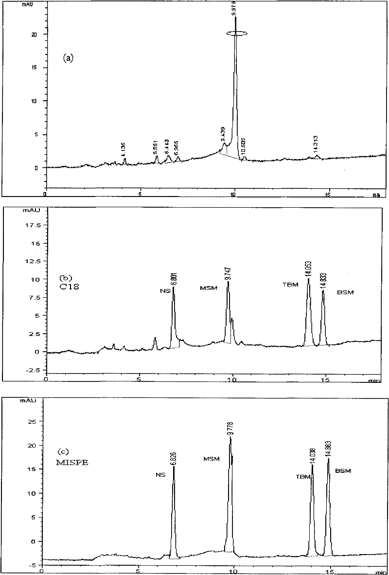 Preparation method of bensulfuron methyl molecularly imprinted polymer and application thereof