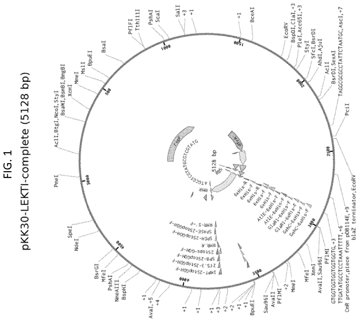 Compositions and methods for treatment of cancer with lekti